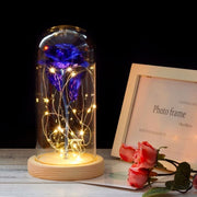 Rose Eternelle Cloche de Verre à LED - Cadeau Décoratif