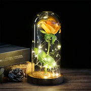 Rose Eternelle Cloche de Verre à LED - Cadeau Décoratif