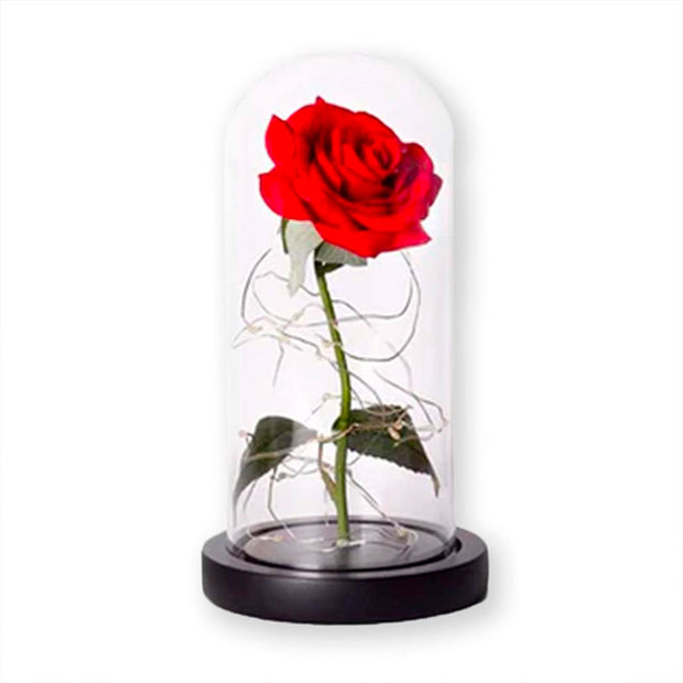 Rose Eternelle Cloche de Verre à LED - Cadeau Décoratif