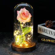 Rose Eternelle Cloche de Verre à LED - Cadeau Décoratif